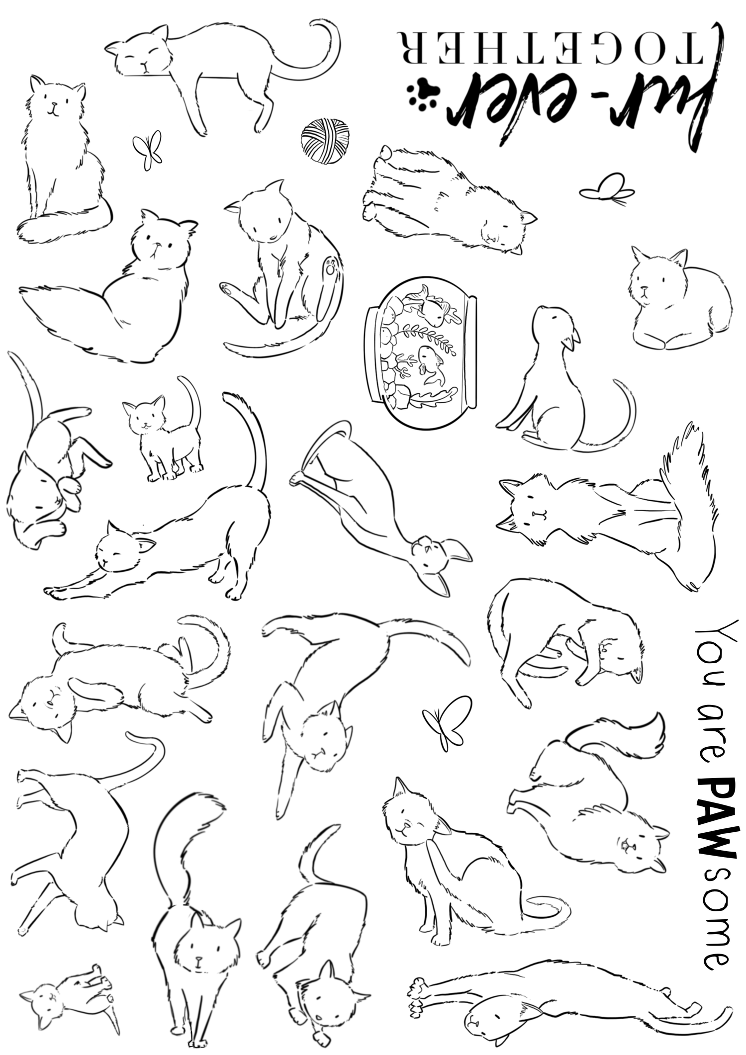 Cats being cats - Image 2