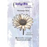 IndigoBlu - Blooming Daisy stamp set