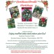 Christmas Wreath workshop Tuesday 1st December 2026 7-9pm